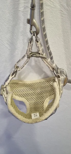 Шлейка для щенка с поводком — backpack, purse, diaper