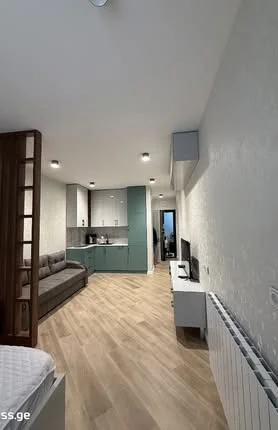 Студия, Реджеп Нижарадзе 5, $500