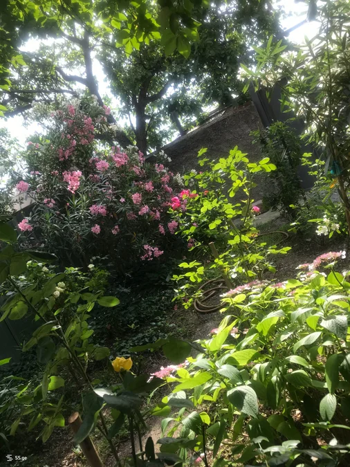 Private House For Sale. Saburtalo