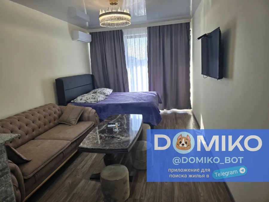 Studio room, 33 m² apartment