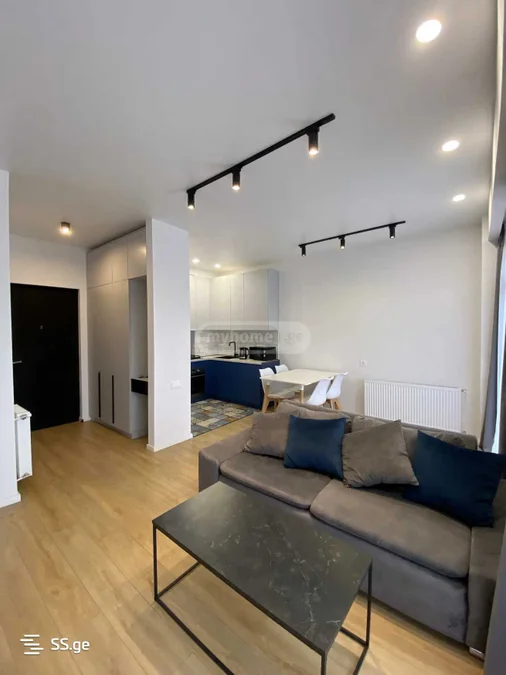 2 room Flat For Rent. Saburtalo