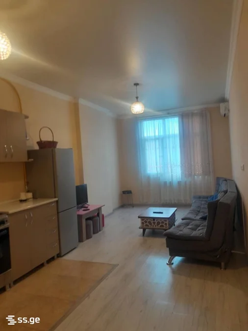 Долгосрочная аренда 2-комнатной квартиры в Bagrationi District
