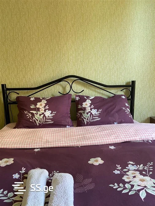 2 room Flat daily rent. Isani