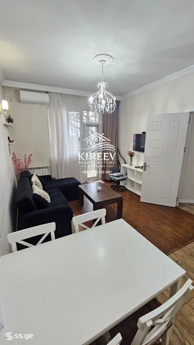 1+1 на Sh. Rustaveli Ave. 41 Rustaveli District
