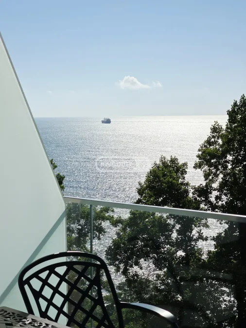 1+1 на Green Cape Botanico Баги ул. 3 Makhinjauri