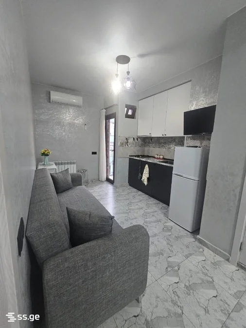 1+1 на David Agmashenebeli Street 48 Agmashenebeli District