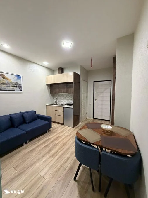 1+1 на Pirosmani Street 19 Airport District