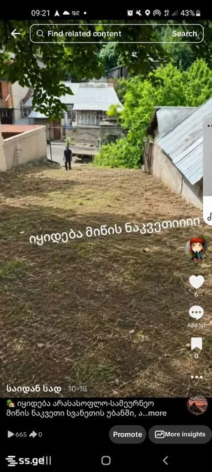 Земля на продажу. Наджаладеви