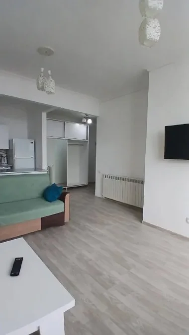 Квартира 1+1
