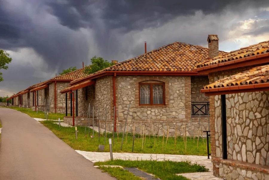 Вилла с виноградником в Кахетии, $400 000