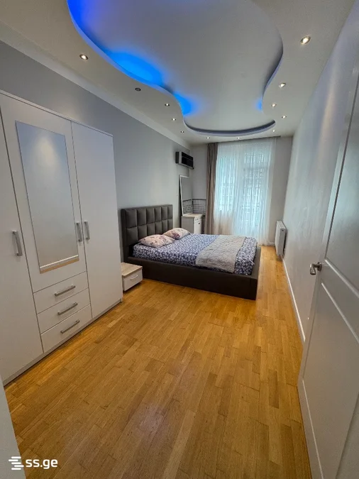 1+1 на Sh. Rustaveli Ave. 110 Rustaveli District