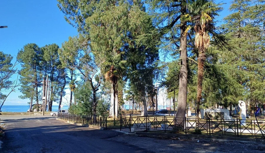 Студия в черном каркасе, Махинджаури, 21 м²