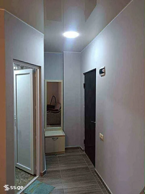 1+1 на Ангиси I переулок 13 Airport District
