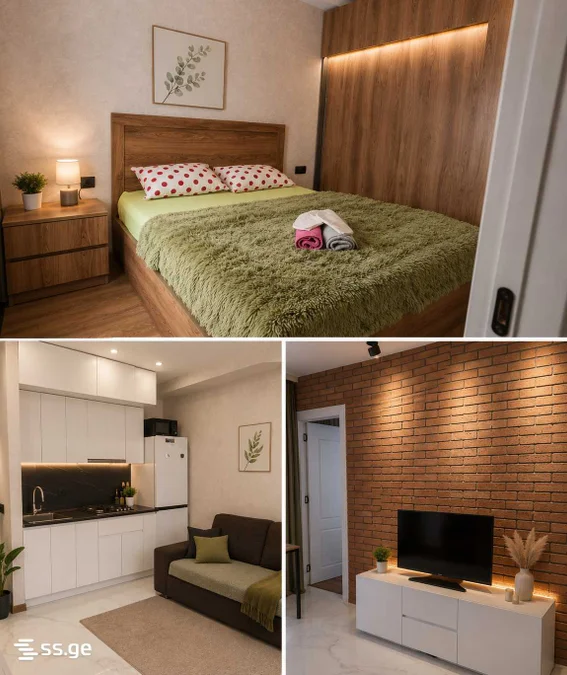 2 room Flat Daily rent. Didi digomi
