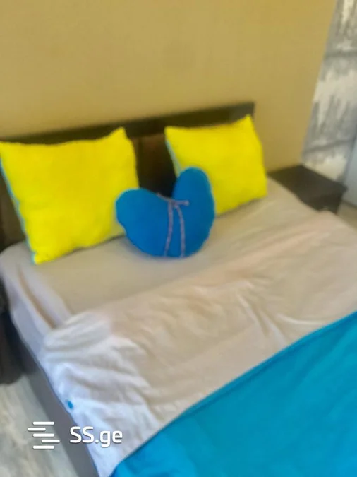 1 room Flat daily rent. Saburtalo
