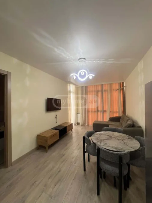 1+1 на Zhiuli Shartava Avenue 30 ხიმშიაშვილის უბანი