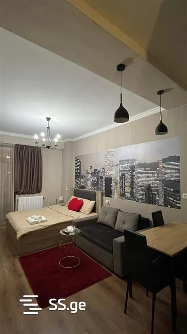 1 room Flat Daily rent. Saburtalo