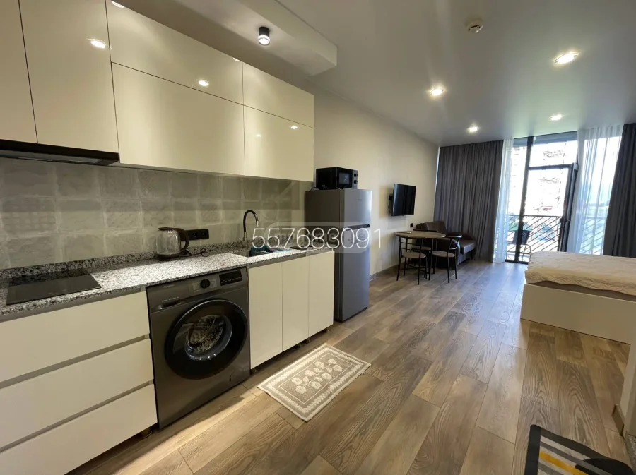 0+1, 38 м², ул. Григол Лорткипанидзе 6А, $400
