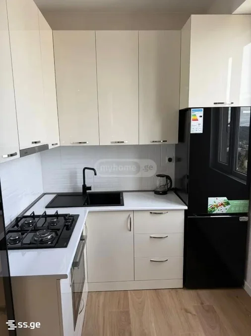 Коммерческое помещение на dzmebi orbelianebi st. 62 Isani