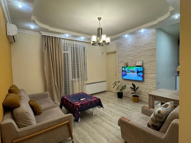 Улица Шерифа Химшиашвили, 41: 2 комнаты, 55,0 м²
