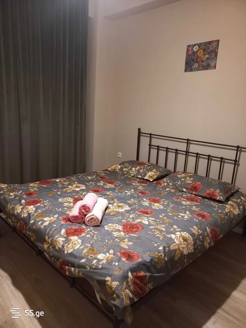 2 room Flat Daily rent. Digomi