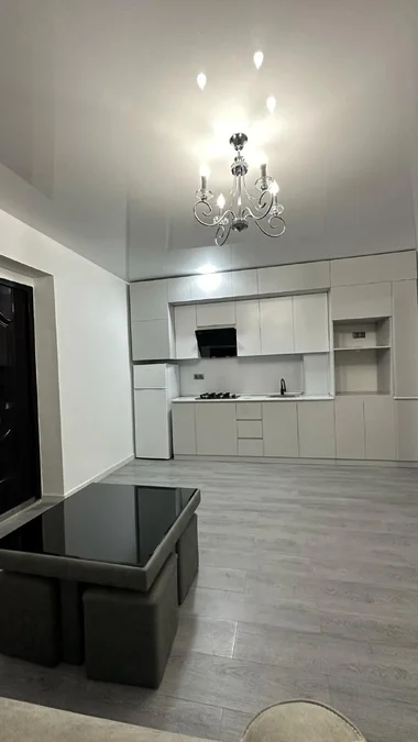 Квартира 1+1 с новым ремонтом в центре!