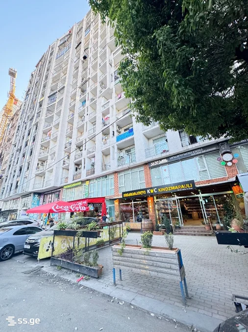 1+1 на ტბელ აბუსერიძის ქ. 53 Khimshiashvili District