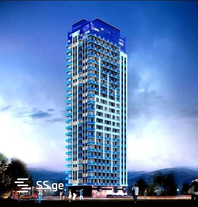 1+1 на Ангис 1-й переулок 8 Airport District