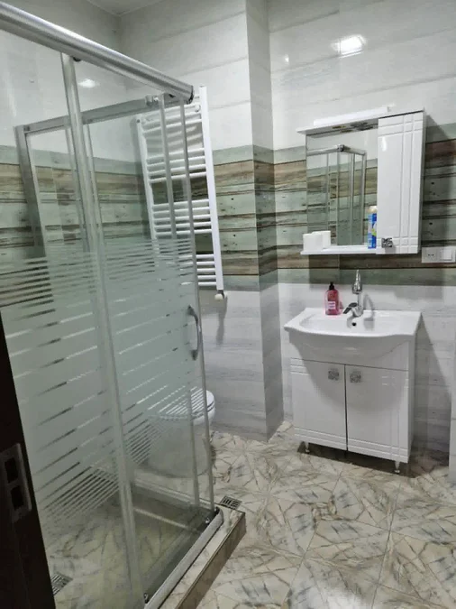 1+1 квартира на ул. Пиросмани, $450