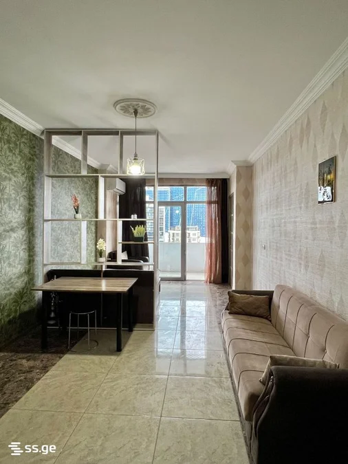 1+1 на David Agmashenebeli Street 10 Agmashenebeli District