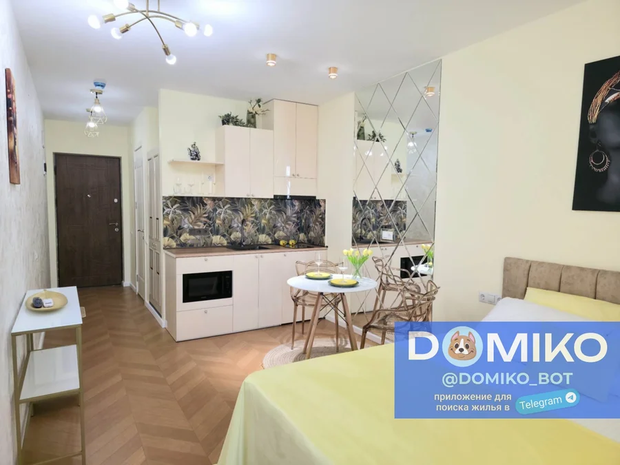 Studio room, 30 m² apartment