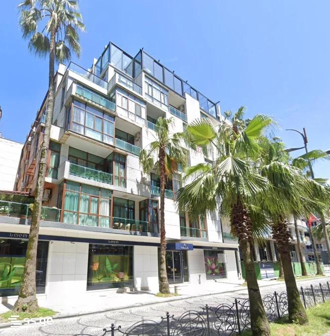 1+1 на Sh. Rustaveli Ave. 22 Rustaveli District