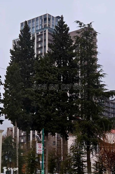 4 room Flat For Rent. Saburtalo
