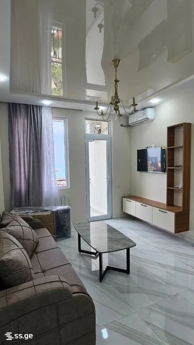 1+1 ул. Пушкина, 1, $500