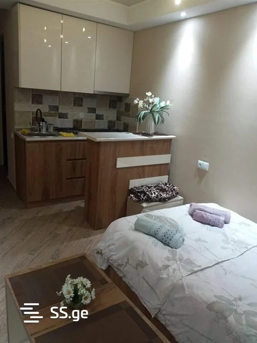 1 room Flat daily rent. Saburtalo