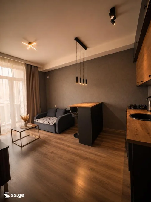 1 room Flat Daily rent. Mukhiani