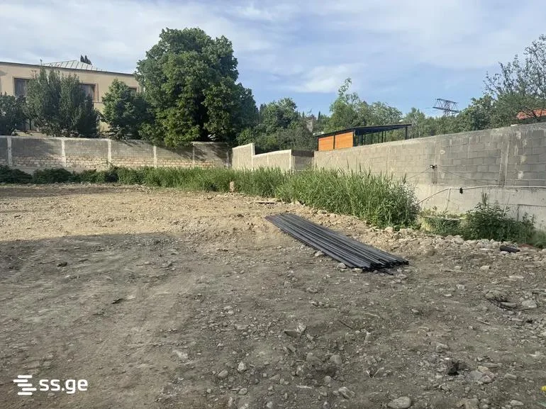 Участок земли, Диди Дигоми