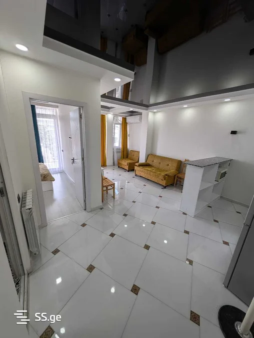 1+1 на Sh. Rustaveli Ave. 10 Rustaveli District