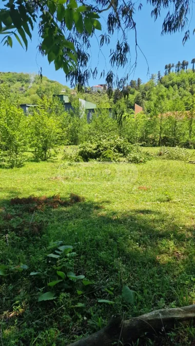Сельскохозяйственный участок в районе аэропорта
