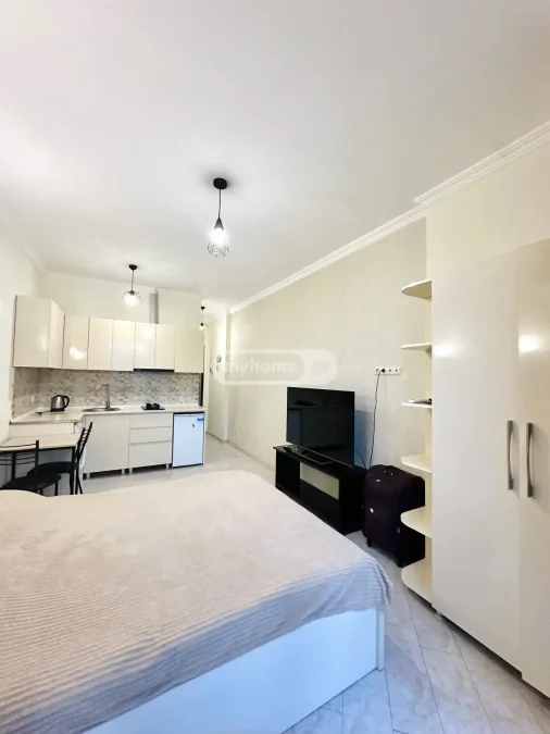 Студия 30 кв.м на ул. Багратиони, $400