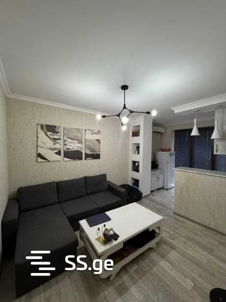 1 room Flat For Rent. Saburtalo