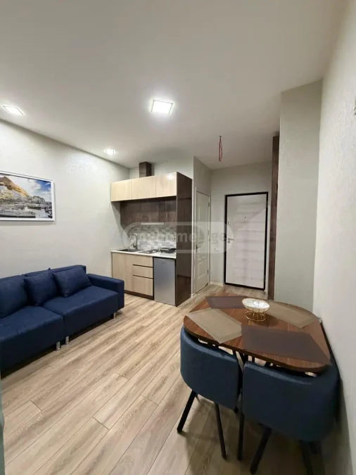 1+1 на Pirosmani Street 19 ხიმშიაშვილის უბანი