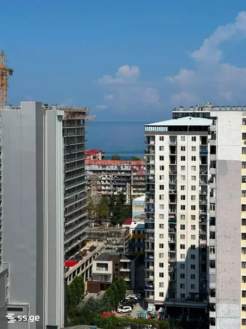 1+1 на Bagrationis Shes. 169 Bagrationi District