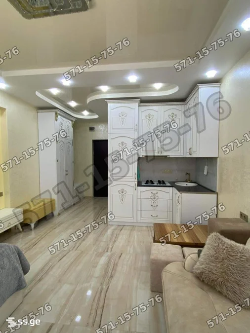 1+1 на Ангис 2-й переулок 8 Airport District