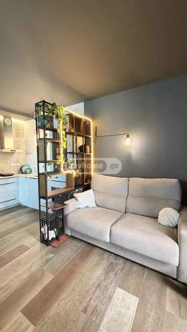 1+1 на Dar Tower Zhiuli Shartava Avenue 8 ხიმშიაშვილის უბანი