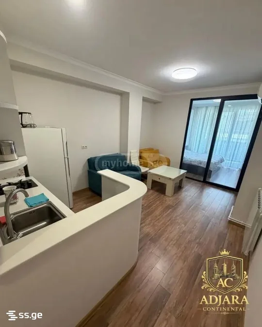1+1 на Sh. Rustaveli Ave. Rustaveli District