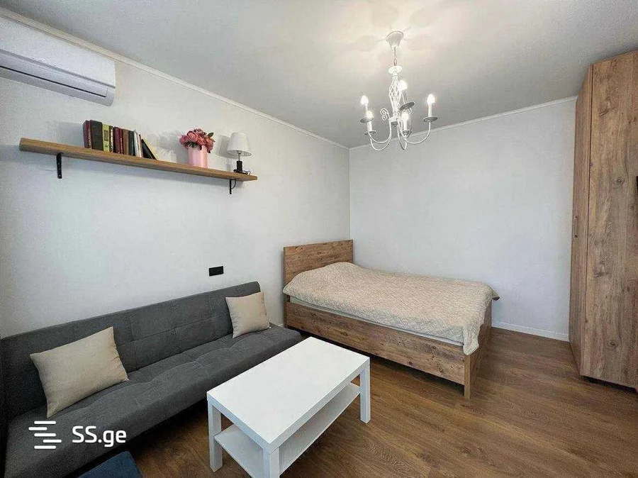 Студия, Парнаваз Мепе 60, $450