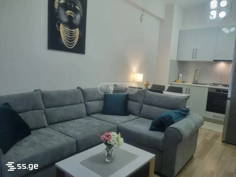 2 room Flat Daily rent. Saburtalo