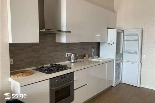 2 room Flat For Rent. Saburtalo