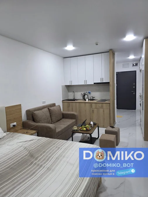 Studio room, 29.4 m² apartment